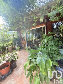 /international/fr/saint-martin-du-var-provence-alpes-cote-d-azur-310100180828/