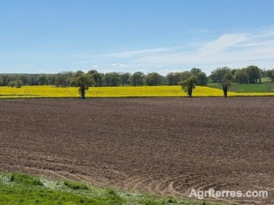 /international/fr/saint-pourcain-sur-sioule-auvergne-310107626210/