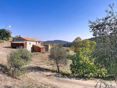 /international/fr/berlou-languedoc-roussillon-310105994180/