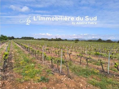 /international/fr/cazedarnes-languedoc-roussillon-310106295184/