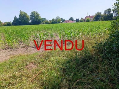 /international/fr/gurs-aquitaine-310100792208/