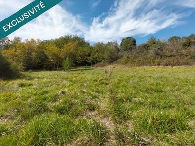 /international/fr/caucalieres-midi-pyrenees-310103349086/