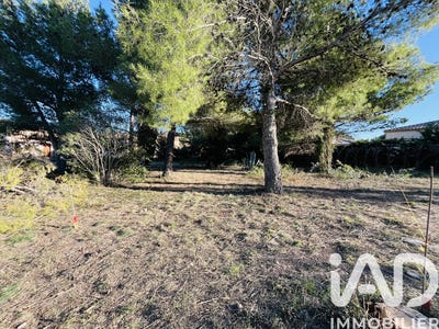 /international/fr/roquefort-des-corbieres-languedoc-roussillon-310105989153/