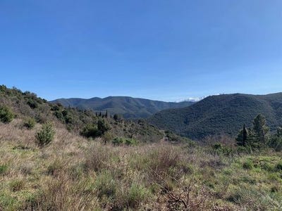 /international/fr/feilluns-languedoc-roussillon-310106578776/