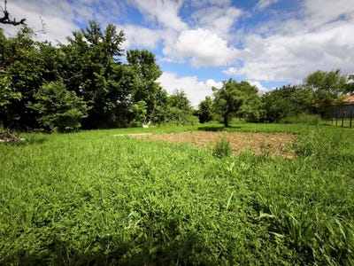 /international/fr/coulombiers-charente-310107837245/