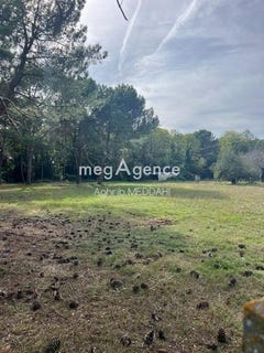 /international/fr/royan-charente-310105407144/