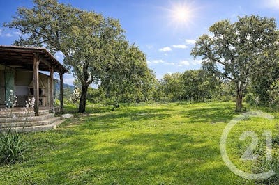 /international/fr/zonza-corsica-310107642537/
