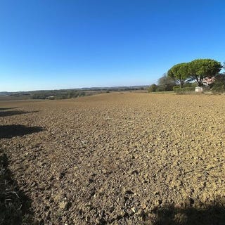 /international/fr/saint-leon-midi-pyrenees-310103096831/