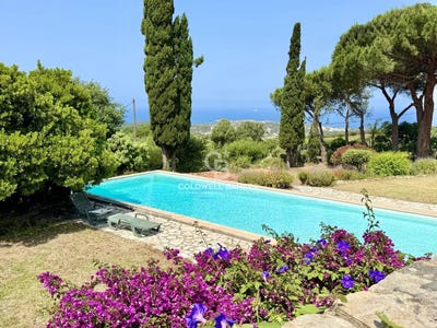 /international/fr/lumio-corsica-310108676856/