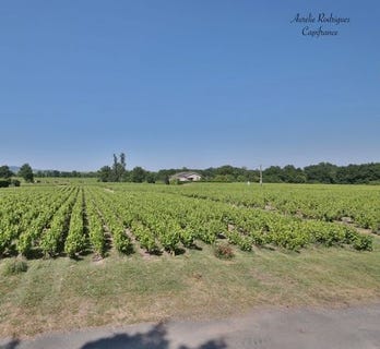 /international/fr/villie-morgon-rhone-310100460741/