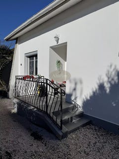 /international/fr/tarbes-midi-pyrenees-310106109287/
