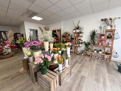 /international/fr/riaille-pays-de-la-loire-310107235536/