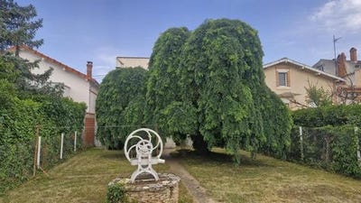 /international/fr/castres-midi-pyrenees-310109049739/