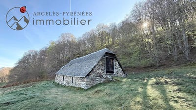/international/fr/arrens-marsous-midi-pyrenees-310108704185/