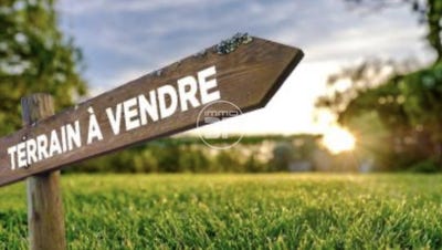 /international/fr/hesingue-alsace-310107370938/