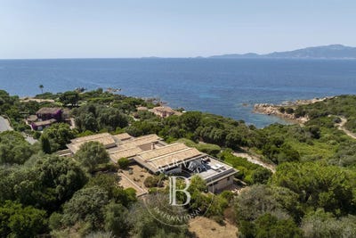 /international/fr/coti-chiavari-corsica-310100610930/