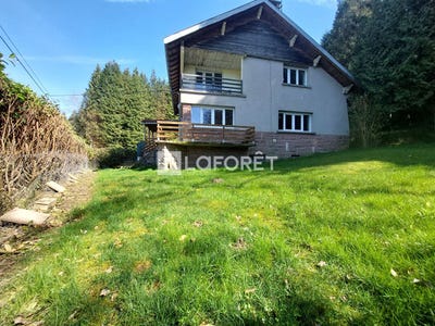 /international/fr/bois-de-champ-lorraine-310108675467/