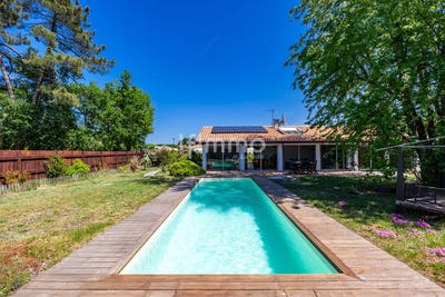 /international/fr/la-brede-limousin-310107578372/