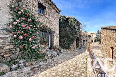 /international/fr/castelnou-languedoc-roussillon-310105206625/