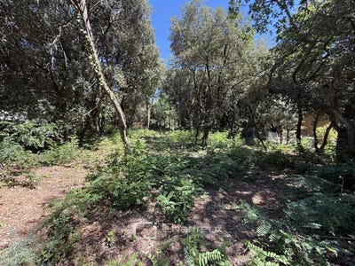 /international/fr/saint-palais-sur-mer-charente-310107565638/