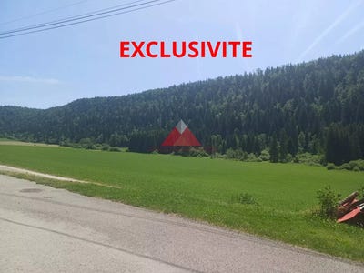/international/fr/183-rue-principale-entre-deux-monts-franche-comte-310108971932/