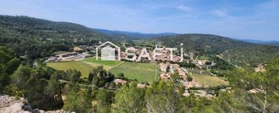 /international/fr/lagrasse-languedoc-roussillon-310102536886/