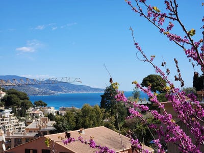 /international/fr/roquebrune-cap-martin-hh-15867042-roquebrune-cap-martin-provence-alpes-cote-d-azur-310101469583/?lang=zh-cn