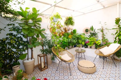 /international/fr/ajaccio-corsica-310108929375/