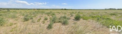 /international/fr/la-palme-languedoc-roussillon-310104143177/