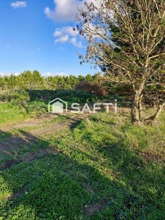 /international/fr/marsilly-charente-310103771991/