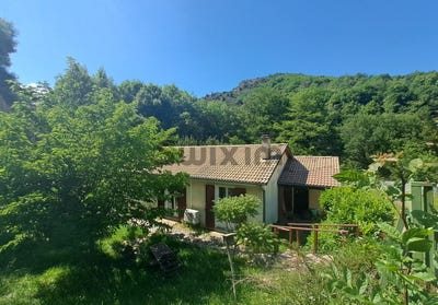 /international/fr/villefort-languedoc-roussillon-310109461194/