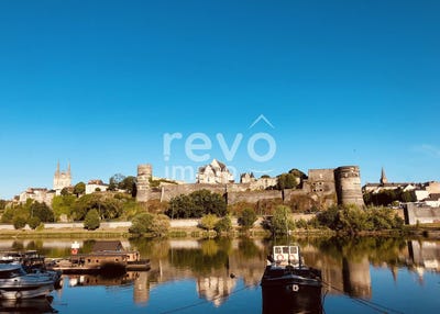 /international/fr/angers-pays-de-la-loire-310108943548/