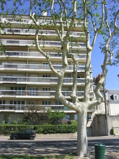 /international/fr/orleans-centre-val-de-loire-120096736648/