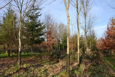 /international/fr/gace-la-basse-normandie-310105102904/