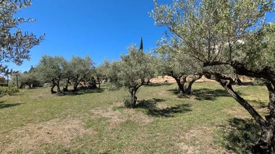 /international/fr/cotignac-provence-alpes-cote-d-azur-310108869898/