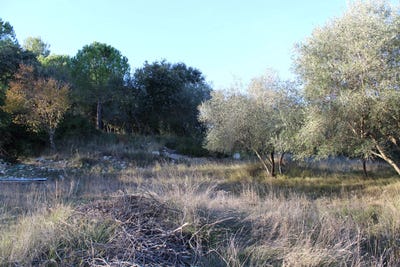 /international/fr/uchaud-languedoc-roussillon-310103823685/