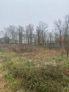/international/fr/mazeray-charente-120096366216/?lang=fr