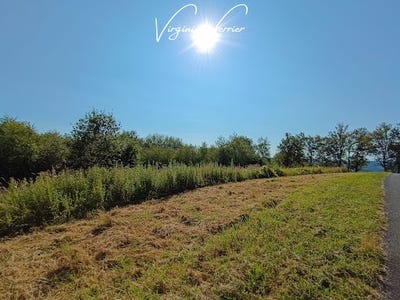 /international/fr/louignac-limousin-310101281427/