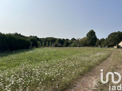 /international/fr/la-marolle-en-sologne-centre-val-de-loire-310099679717/