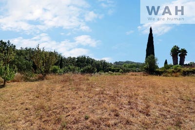 /international/fr/clermont-l-herault-languedoc-roussillon-310109745655/