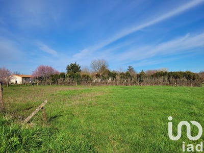 /international/fr/champagne-mouton-charente-310100228698/