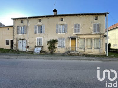 /international/fr/vrecourt-lorraine-310099343508/