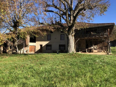 /international/fr/chasselay-rhone-310103331137/