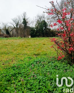/international/fr/saint-nauphary-midi-pyrenees-310108863263/