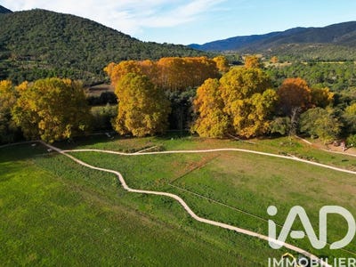 /international/fr/la-mole-provence-alpes-cote-d-azur-310107181465/