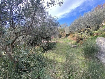/international/fr/bargemon-provence-alpes-cote-d-azur-310100990513/