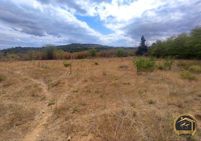 /international/fr/portel-des-corbieres-languedoc-roussillon-310101470505/