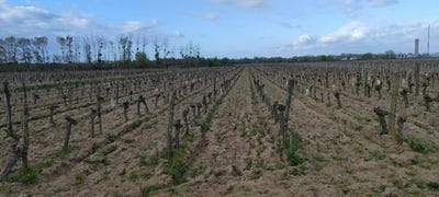 /international/fr/savigny-en-veron-centre-val-de-loire-310107447451/
