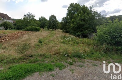 /international/fr/villeneuve-sur-bellot-ile-de-france-310100435830/