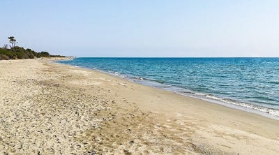 /international/fr/linguizzetta-corsica-310104596621/